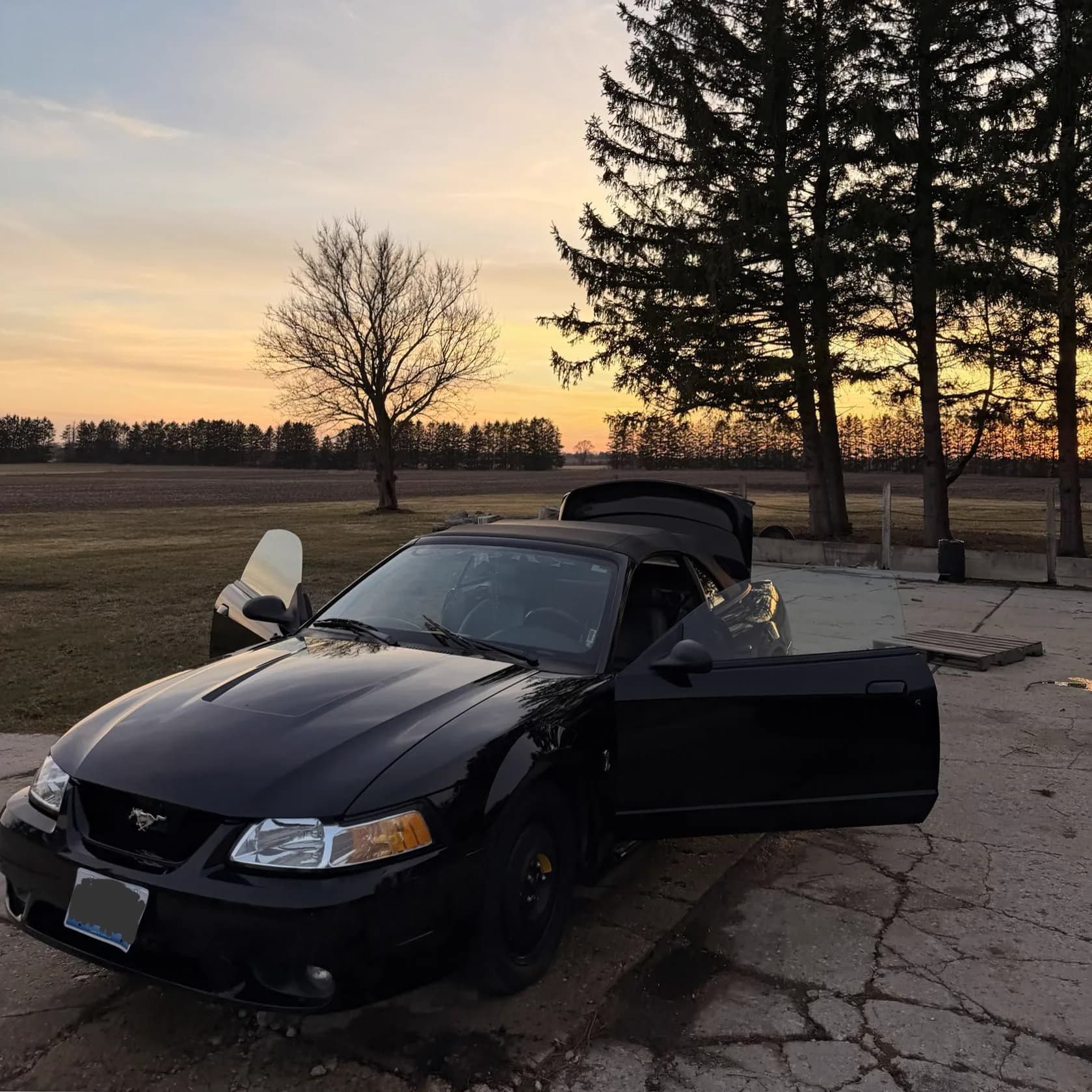 Black Ford Mustang after exterior detailing