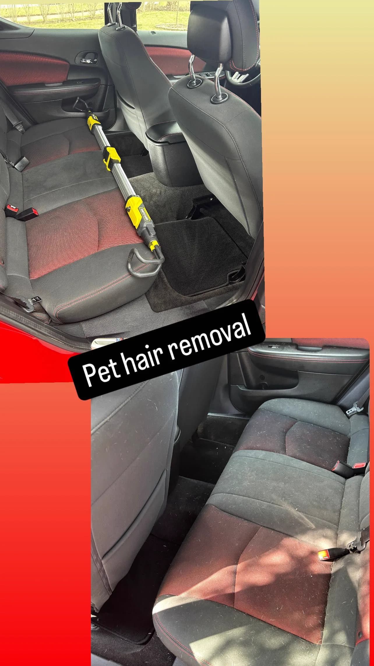 Pet-hair condition work inside a vehicle